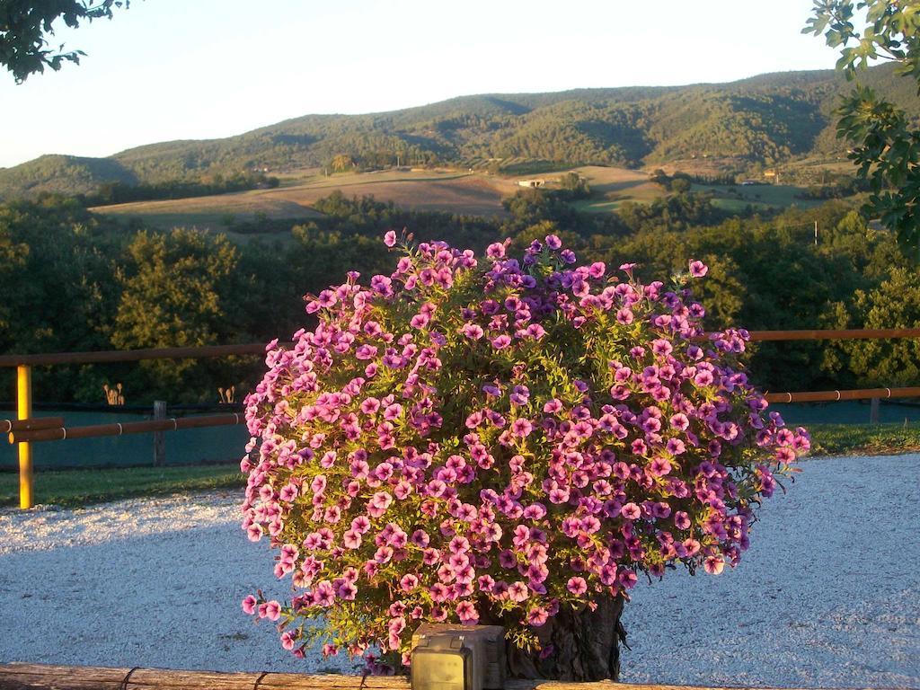 Casale Il Colle Deruta Villa Buitenkant foto