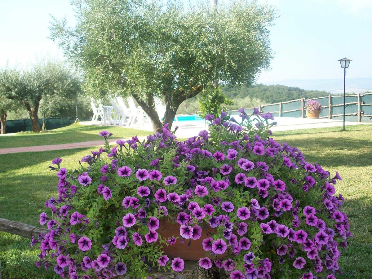 Casale Il Colle Deruta Villa Buitenkant foto